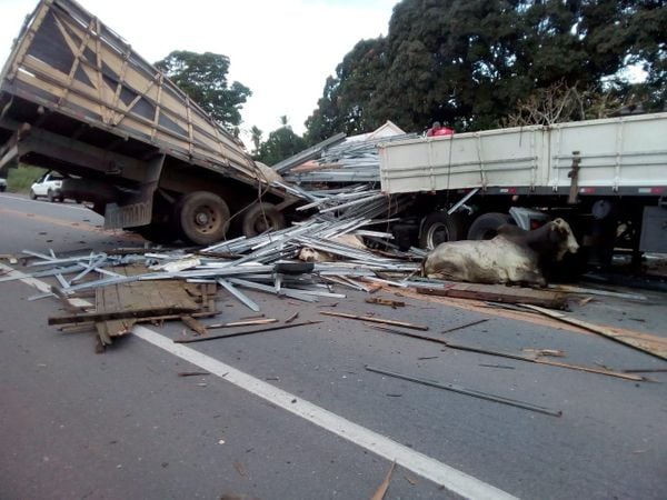 Três pessoas estavam no caminhão com gado, duas morreram no local por Internauta