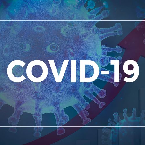 As novas informações do site consistem apenas em casos de pessoas recuperadas, novas contaminações e os óbitos. Demais informações foram omitidas