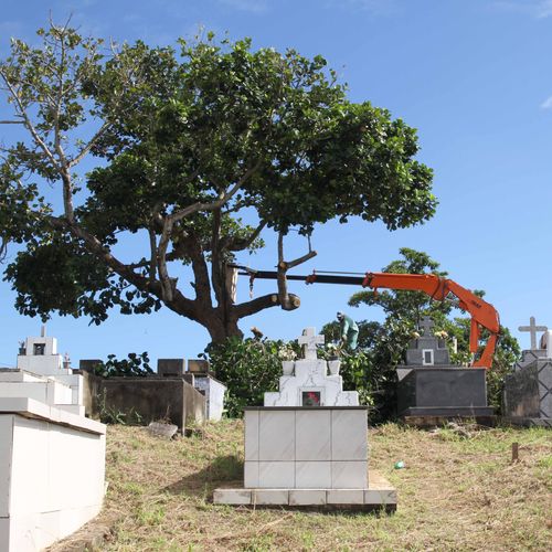 ES tem 41 óbitos em investigação e deve encerrar maio com 600 mortes