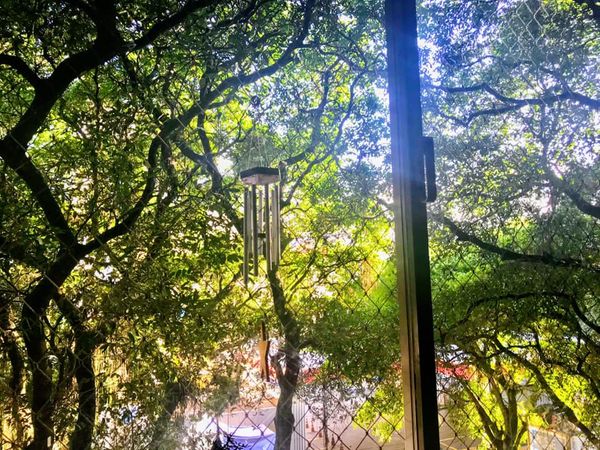 Luciane Mignone preferiu fotografar as belezas naturais da janela de sua casa, em Humaitá, no Rio de Janeiro por Luciane Mignone/ Facebook