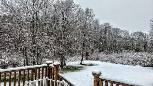 Ranny Zamperlini fotografou a neve do fim do inverno em Northampton, nos Estados Unidos
