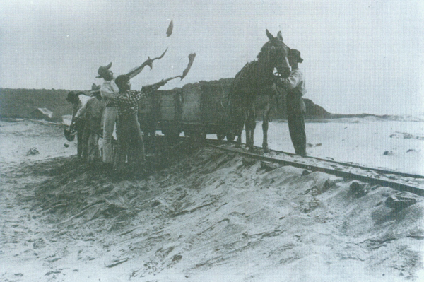 Retirada e transporte de areia monazítica de Guarapari no início do século XX. O material seguia para galpões de separação e estocagem, como retrata a imagem da capa, também do mesmo período. 