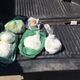 Imagem - Casal é preso por tráfico de drogas em barreira sanitária no ES
