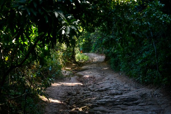 Acesso ao Morro do Moreno.  por Vitor Jubini