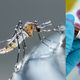Imagem - Novo coronavírus é 77 vezes mais fatal que a dengue e a  chikungunya no ES