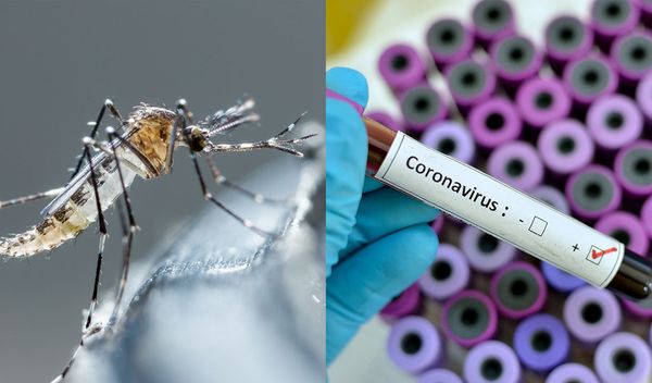 A dengue matou 34 em 63.847 pessoas infectadas no ES enquanto o coronavírus vitimou 157 em 3.988