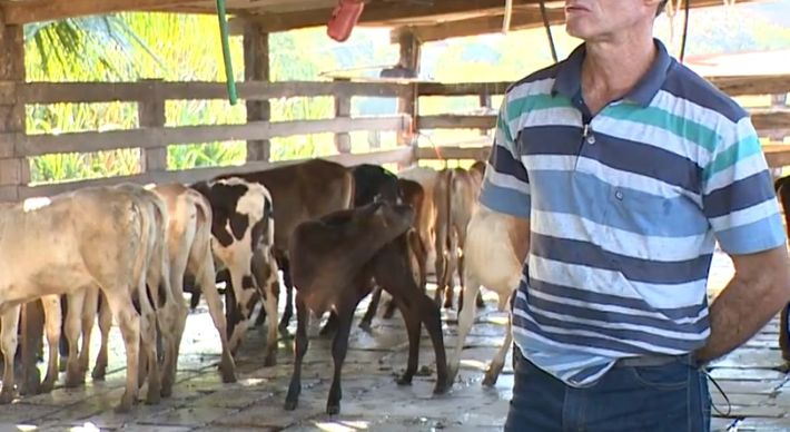 Produtores e cooperativas reforçam higiene e relatam queda na receita depois que o coronavírus se espalhou pelo mundo