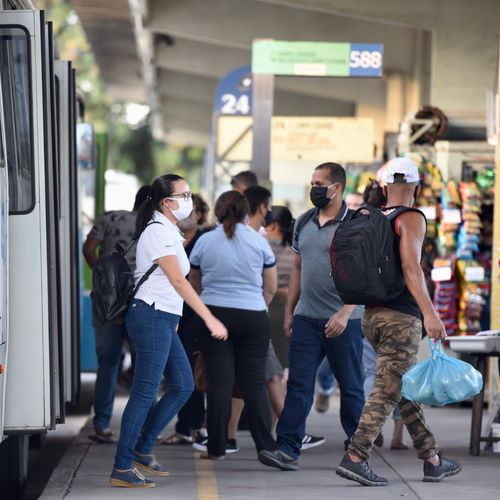 Com volta às aulas, ônibus do Transcol voltam a rodar com 100% da frota