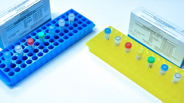 Foi apontado risco de um iminente de colapso do sistema público de saúde da Região Sul. Em decorrência do esgotamento da capacidade do sistema acolher novos pacientes graves; pessoas com a doença foram recusadas em hospitais