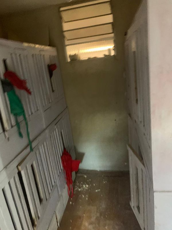 Rinha de galo estourada pela Guarda Municipal de Vila Velha após denúncia em Aribiri por Divulgação/PMVV