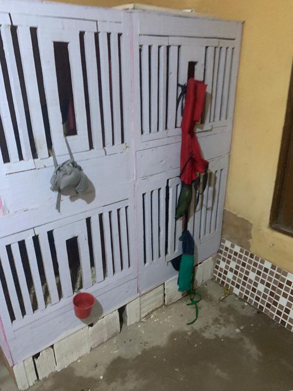 Rinha de galo estourada pela Guarda Municipal de Vila Velha após denúncia em Aribiri por Divulgação/PMVV