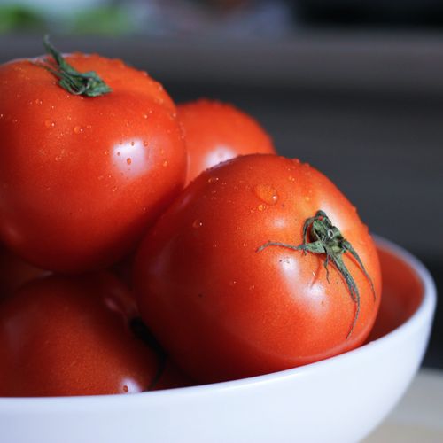Nutricionistas explicam qual método de armazenamento interfere no sabor e na integridade os alimentos