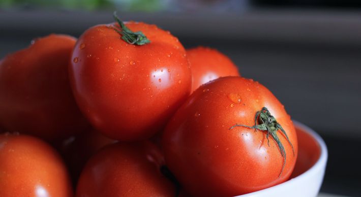 Tomate, batata e outros alimentos: o ideal é guardar dentro ou fora da  geladeira? | A Gazeta