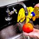A utilização de produtos de limpeza na desinfecção de alimentos pode ser perigosa à saúde se feita indevidamente