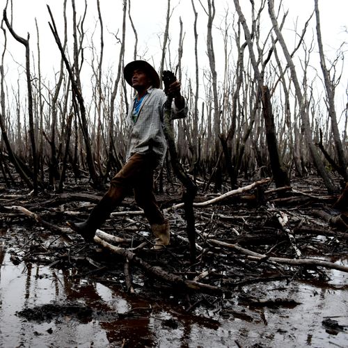 Crimes no mangue colocam em risco berço da natureza e cultura capixaba