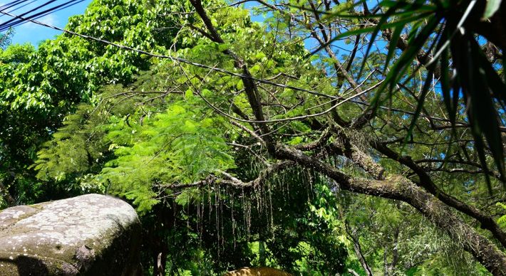 'Mais moderno e seguro', diz o secretário de Meio Ambiente de Vitória, Ademir Barbosa Filho