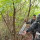 Imagem - Sexta fase da Operação Caim apreende armas e cumpre mandados no ES