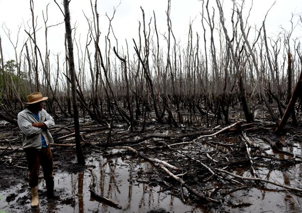 Data: 21/05/2020 - ES - São Mateus - Pedro Ribeiro, presidente da Associação de Moradores e catadores de Caranguejo do Distrito de Nativo, mostrando o mangue morto em São Mateus - Editoria: Cidades - Foto: Ricardo Medeiros - GZ