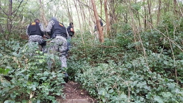 Policiais fizeram incursões pela mata da região de Tabuazeiro, utilizada como rota de fuga e esconderijo por criminosos  por Divulgação/Sesp