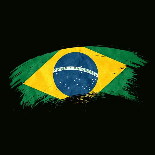 Brasil: um sonho comum para sair da polarização