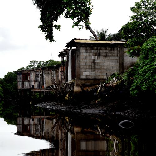 Área de mangue no ES encolheu o equivalente a 120 campos de futebol