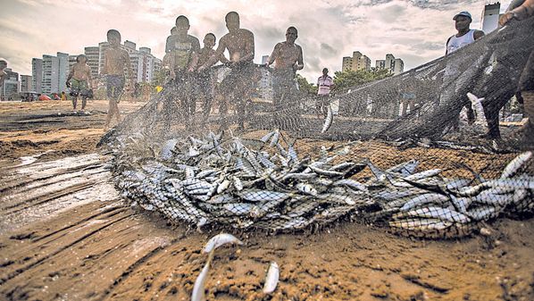 Organizações de qualquer tipo, inclusive as criminosas, podem ser comparadas a uma rede de pesca, que é formada por fios e nós