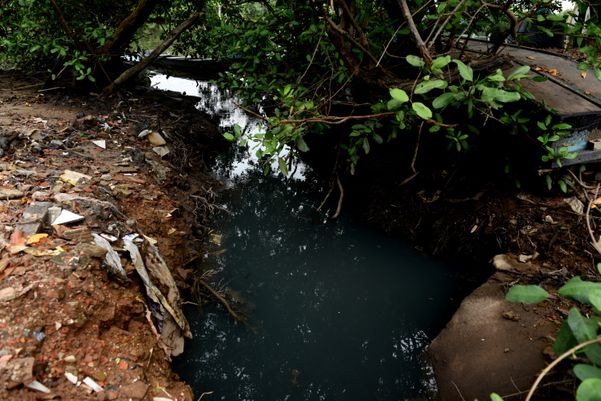 Data: 22/05/2020 - ES - Vitória - Esgoto sendo despejado no manguezal de Maria Ortiz, em Vitória - Editoria: Cidades - Foto: Ricardo Medeiros - GZ