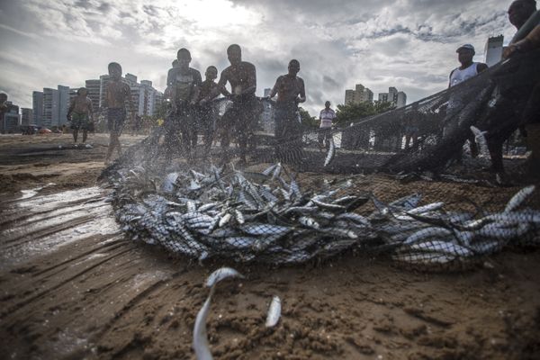 Data: 25/06/2018 - ES - Vila Velha - Fotojornalismo: puxada de rede na Praia de Itaparica. O Dia do Pescador é comemorado no dia 29 de junho - Editoria: Cidades - Foto: Vitor Jubini - GZ