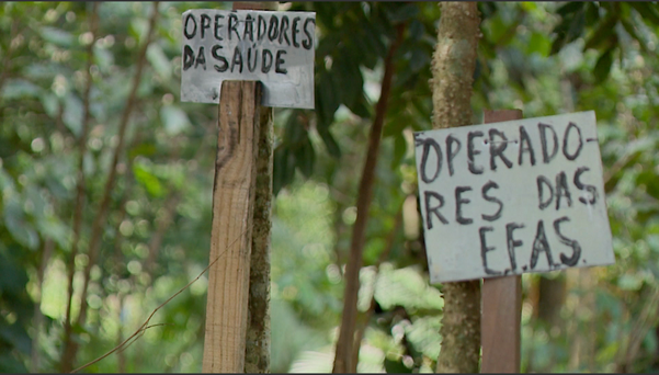 Placas alertam sobre a importância das árvores na propriedade de João Martins