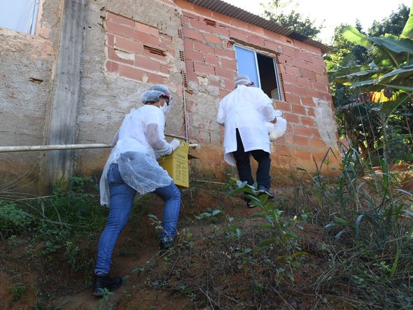 Profissionais de saúde realizam a segunda etapa do inquérito sorológico. Em Viana o primeiro bairro visitado foi Vila Betânia II. por Ricardo Medeiros