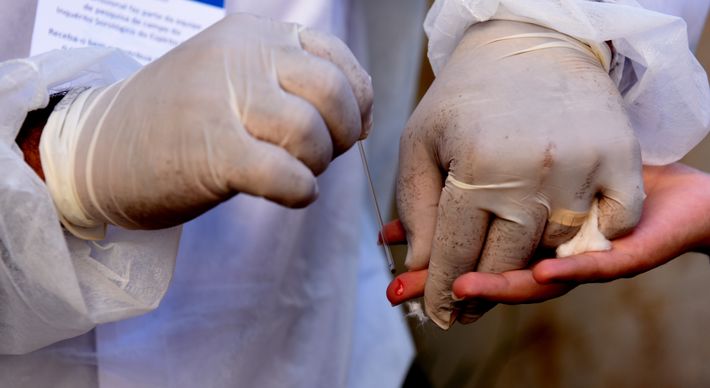 Além dos alunos, todos os funcionários da rede estadual e das outras escolas sorteadas passarão pelos testes, que acontecem antes e após a volta das aulas. O objetivo é acompanhar a infecção nessa população para traçar mais medidas de segurança