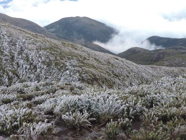 Em julho de 2017, o Pico da Bandeira amanheceu completamente congelado por Sairo Guedes