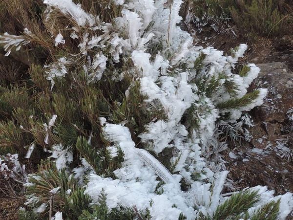 Em julho de 2017, o Pico da Bandeira amanheceu completamente congelado por Sairo Guedes