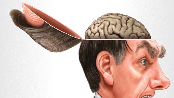 Na reunião do dia 22 de abril com ministros, Bolsonaro expôs sua mente, nua e crua. E, à parte o alto grau de paranoia, o que essa tomografia comprova é que alguns conceitos fundamentais são altamente distorcidos na cabeça do presidente