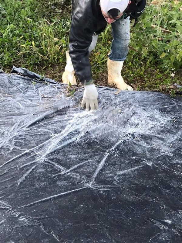 Internauta encontra pedaços de gelo em Pedra Azul nesta sexta (29) por Dulci Bravin