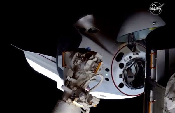 A nave Dragon Crew, da SpaceX, chegou neste domingo (31) à Estação Espacial Internacional