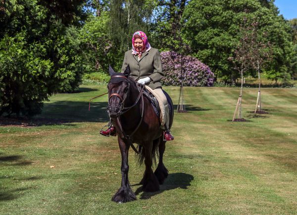 A rainha Elizabeth II andando a cavalo no parque do Castelo de Windsor no fim de semana em sua primeira aparição após isolamento importo pela pandemia do novo coronavírus