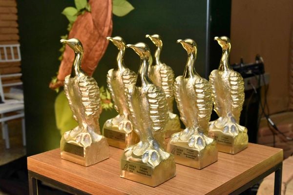 Ganhadores recebem o Prêmio Biguá de Sustentabilidade 
