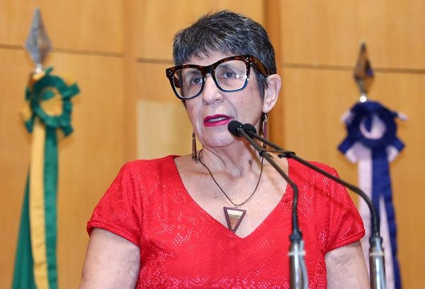 Iriny Lopes, deputada estadual pelo PT