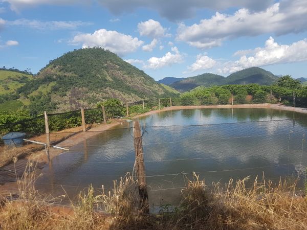 Propriedade situada na zona rural a 8 km de Castelo/ES, na BR 379