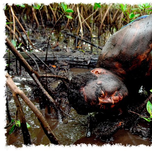 Escritório na lama: caranguejeiro é profissão ameaçada de extinção no ES