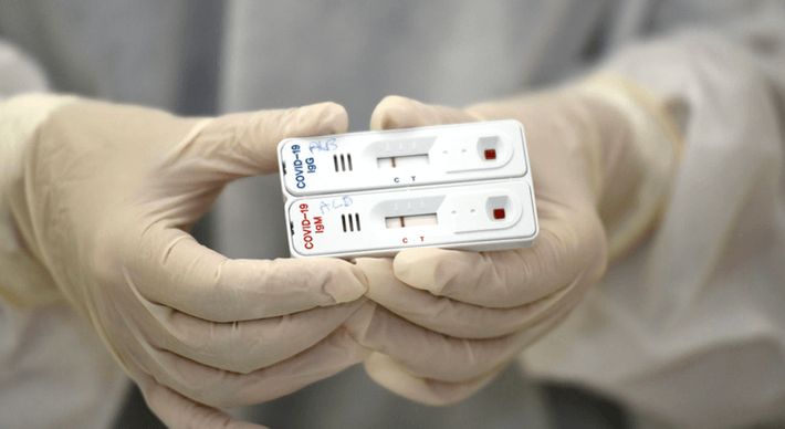 Estado aguarda chegada dos kits para dar início à investigação; objetivo é verificar o comportamento dos anticorpos em pessoas que já se recuperaram da doença