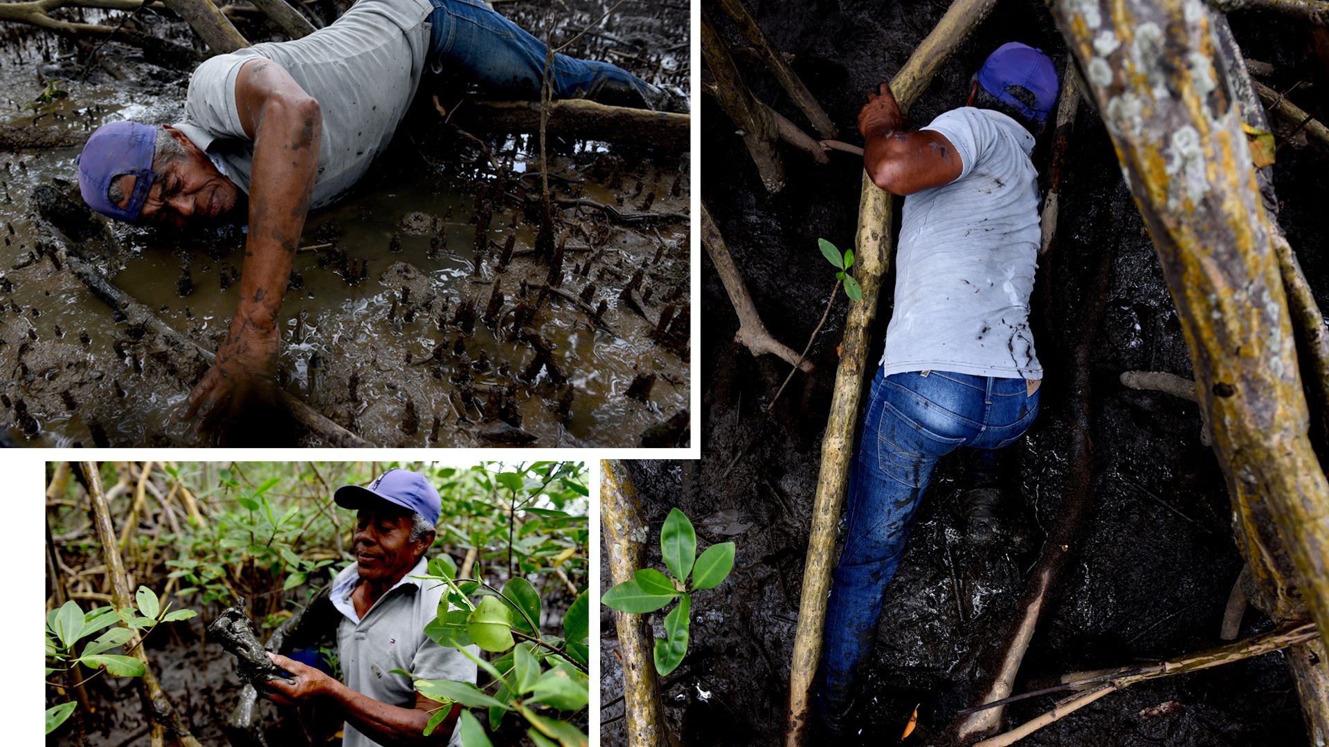 Data: 21/05/2020 - ES - Anchieta - Rubens Antônio, catador de caranguejo do manguezal de Rio Benevente, em Anchieta 