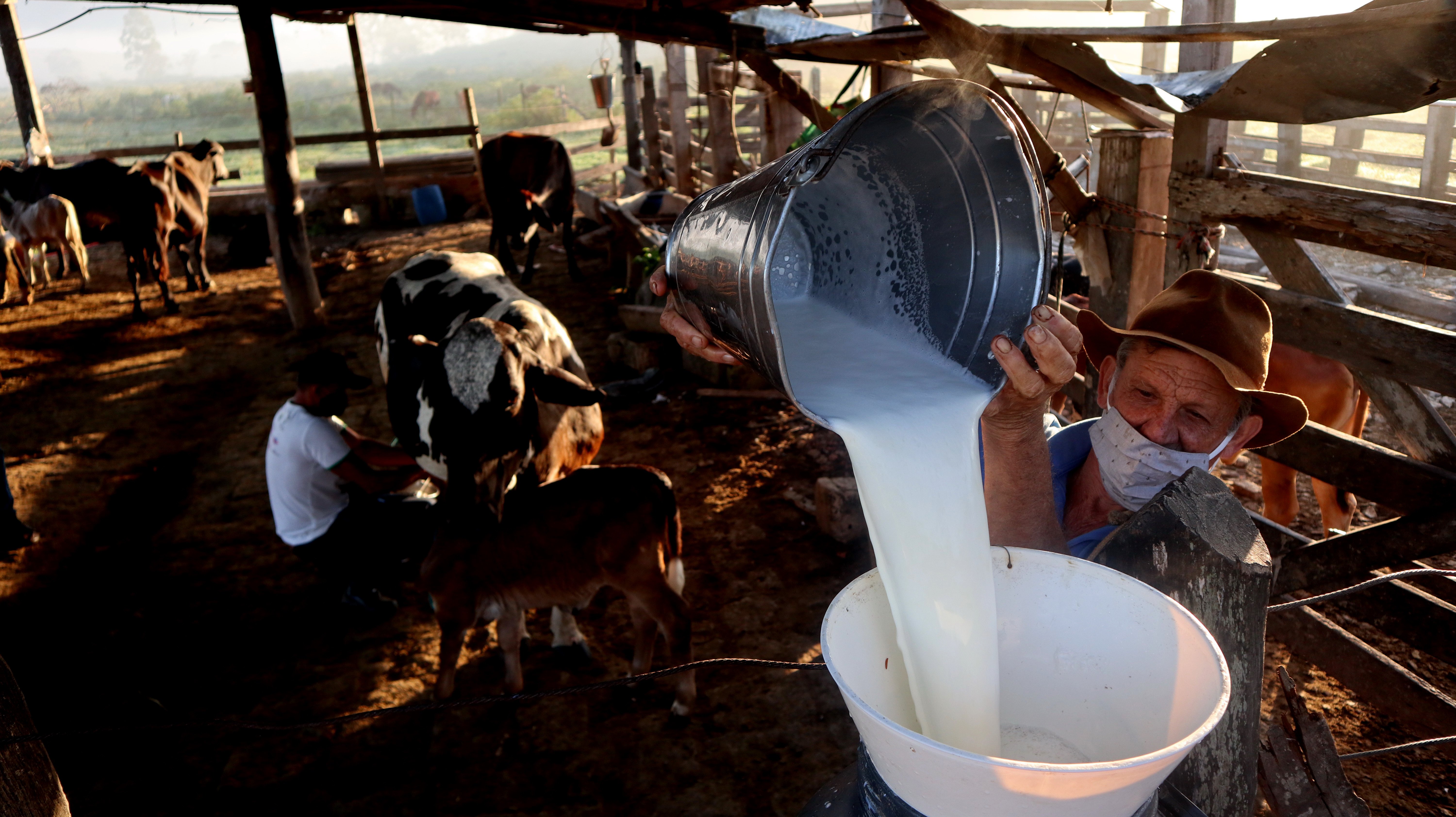 Data: 09/06/2020 - ES - Serra - Gilven Antônio Piazzollo, produtor rural retirando leite para vender - Editoria: Cidades - Foto: Ricardo Medeiros - GZ