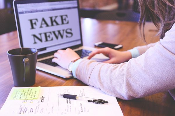 Fake news encontram terreno fértil na internet