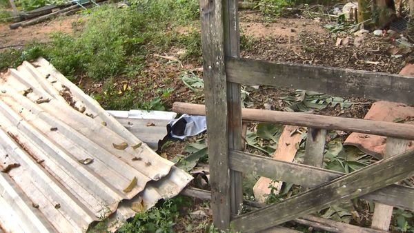 Bermuda do homem foi encontrada no quintal de um vizinho 