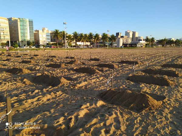Grupo colocou cruzes na areia da Praia de Camburi, em Vitória, neste domingo (21), em memória das vítimas da Covid-19 no Espírito Santo por Plenária contra a Covid-19