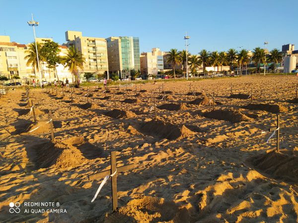 Grupo colocou cruzes na areia da Praia de Camburi, em Vitória, neste domingo (21), em memória das vítimas da Covid-19 no Espírito Santo por Plenária contra a Covid-19