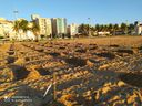 Grupo colocou cruzes na areia da Praia de Camburi, em Vitória, neste domingo (21), em memória das vítimas da Covid-19 no Espírito Santo(Plenária contra a Covid-19)