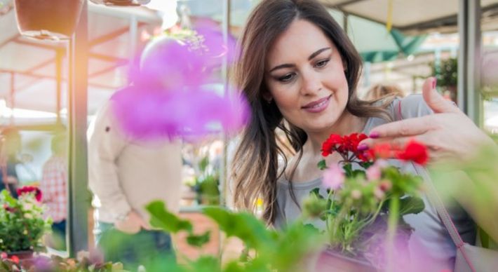 É indiscutível que flores alegram qualquer ambiente e que as plantinhas ocupam um lugar mais que especial na decoração dos espaços, mas alguns cuidados são essenciais para garantir que elas sejam aproveitadas ao máximo